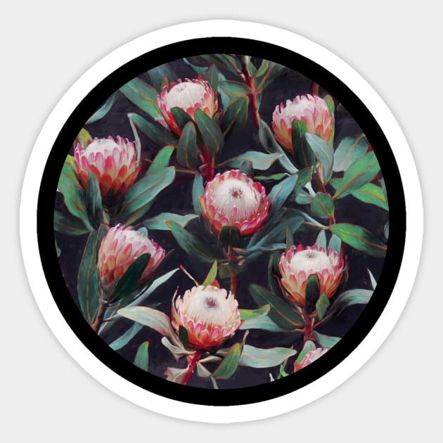 Evening Proteas - Pink on Charcoal Sticker by micklyn